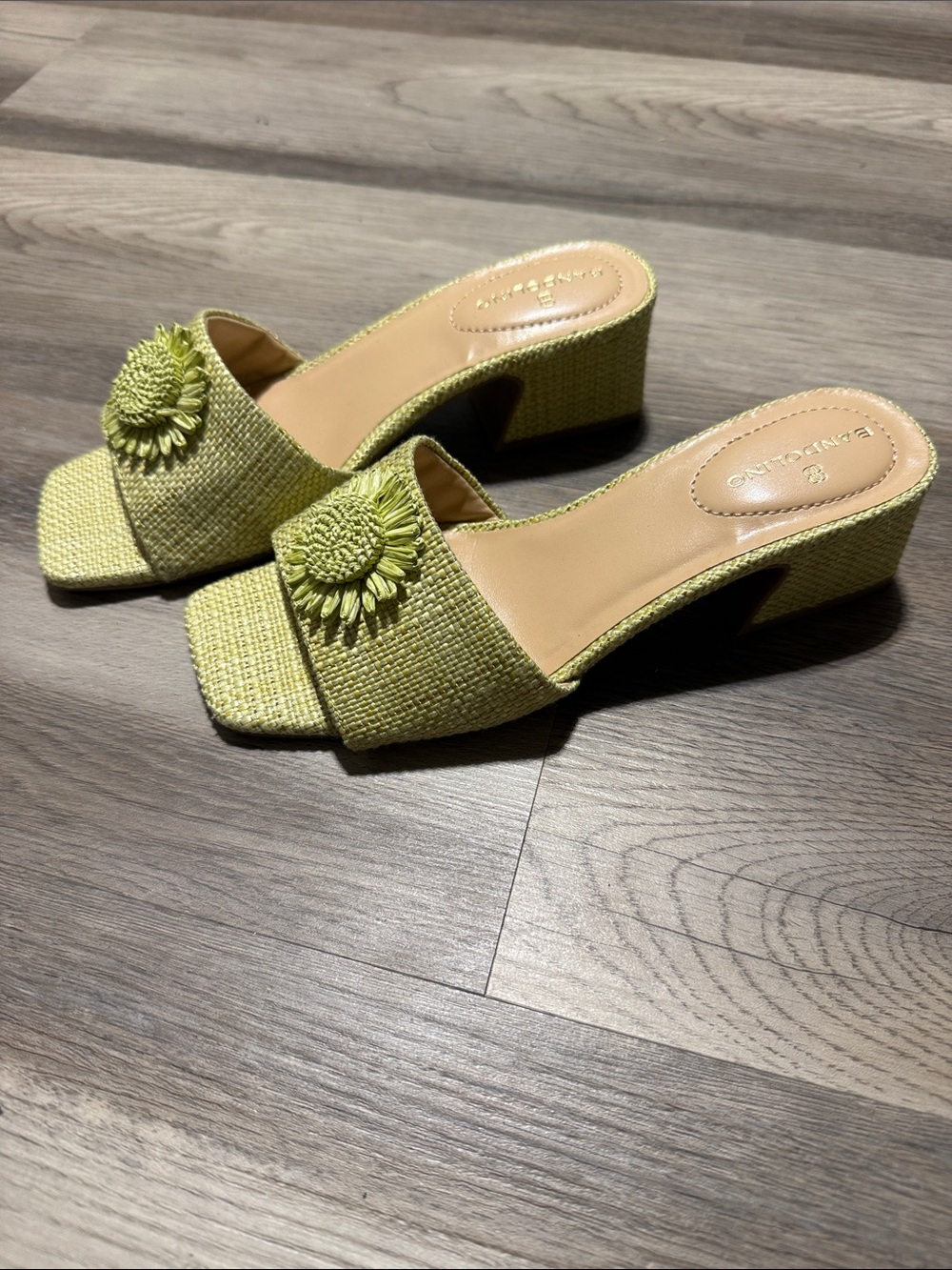 Bandolino Lime Green Raffia Daisy Block Heel Mules